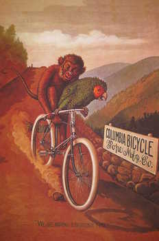 Advertising poster for Columbia Bicycle by Cassius Coolidge