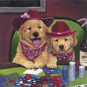 Poker Pups IV