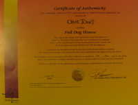 Certificate of Authenticity for “Full Dog House”