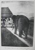 The elephant came into view, walking slowly along