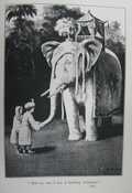 “Tell no one I am a talking elephant”