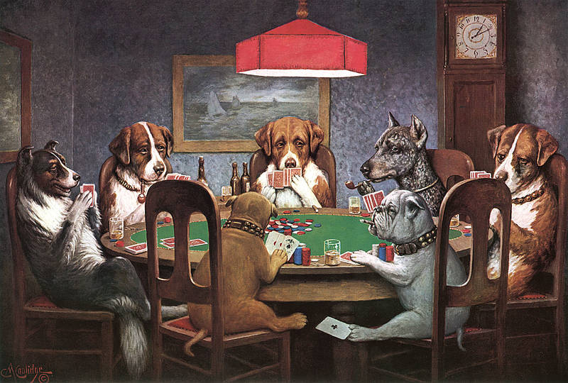 Image result for dog handing poker card under table