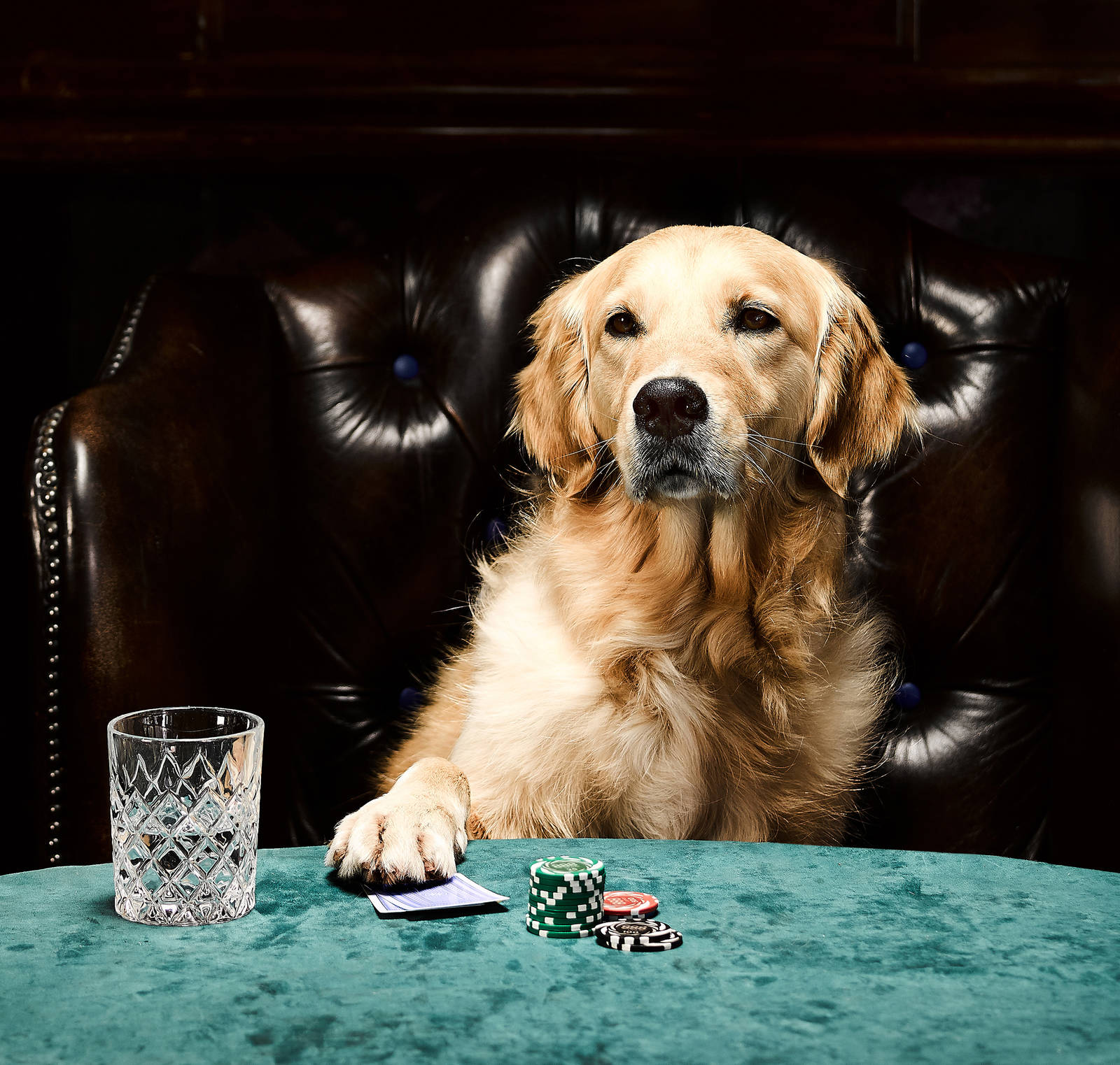 Best freeroll poker tournaments Best freeroll poker tournaments