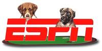 ESPN dogs playing poker commercials
